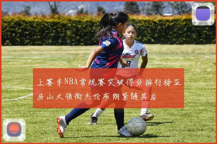 上赛季NBA常规赛突破得分排行榜亚历山大领衔杰伦布朗紧随其后